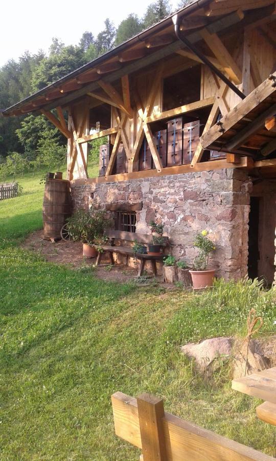 Eichernhof Apartment Apfelbluete Verano Bagian luar foto